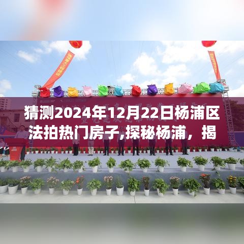 揭秘杨浦法拍热门房源，探寻隐藏宝藏与小巷特色小店的故事（2024年预测）