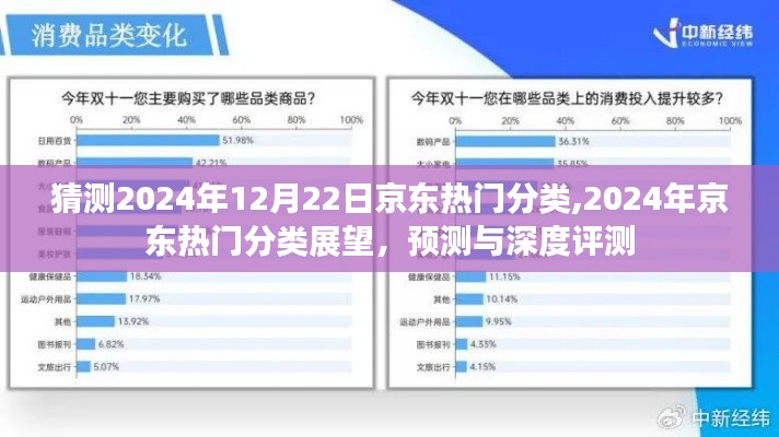 2024年京东热门分类展望与深度预测，12月22日的趋势解析与评测