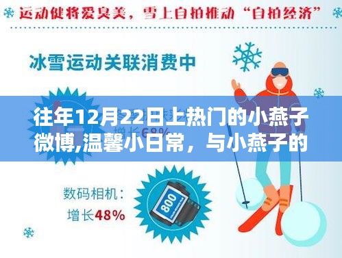 小燕子的冬至微博时刻，温馨日常与冬日奇缘的爱之分享