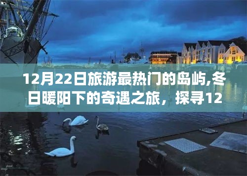 12月22日热门旅游岛屿，冬日奇遇与自信起航之旅