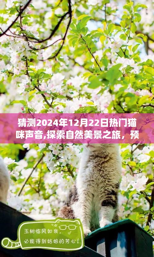 探索未来猫咪声音，预测热门喵声与心灵深处的自然美景之旅