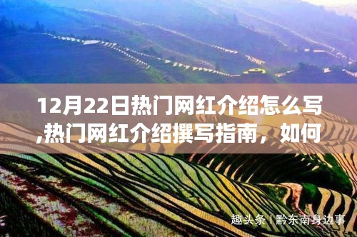 撰写指南，如何精彩介绍12月22日热门网红