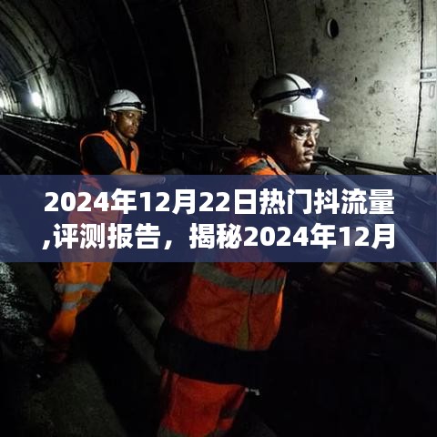 揭秘，2024年12月22日抖流量热门产品评测与体验报告