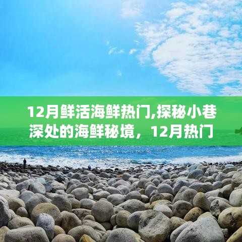 探秘十二月鲜活海鲜秘境，小巷深处的海鲜之旅