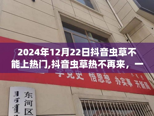 抖音虫草热潮退散，心灵与自然的邂逅不再上热门