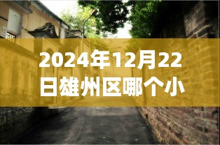 雄州秘境，揭秘热门小区背后的故事与小巷深处的独特风味