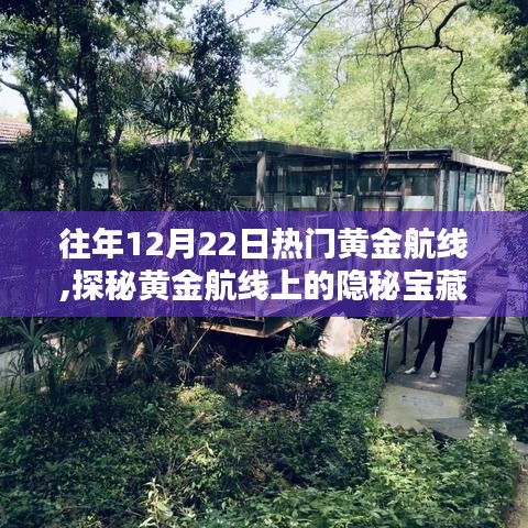 探秘往年12月22日黄金航线隐秘宝藏与小巷特色小店之旅