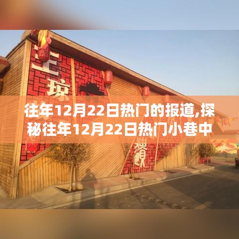 探秘往年12月22日小巷中的特色小店，隐藏瑰宝的魅力非凡之旅