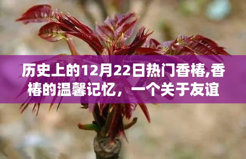 友谊与陪伴