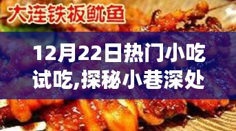 探秘隐藏美食盛宴，12月22日热门小吃试吃之旅
