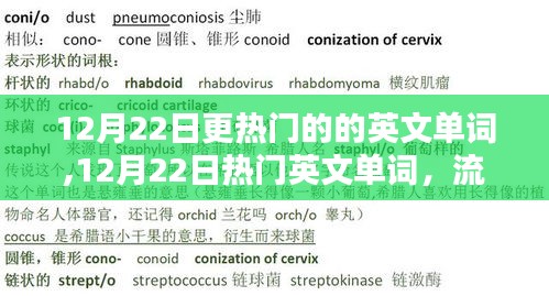 探索流行趋势，12月22日热门英文单词与词汇热度揭秘