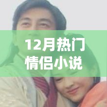 深度解析，12月热门情侣小说三大看点，情感故事引人入胜