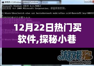 探秘小巷深处的宝藏，揭秘热门软件特色小店，12月22日必访之选