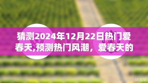 2024年12月22日爱春天的序曲，预测热门风潮的绽放