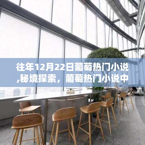 葡萄热门小说秘境探索，小巷奇趣书店的奥秘