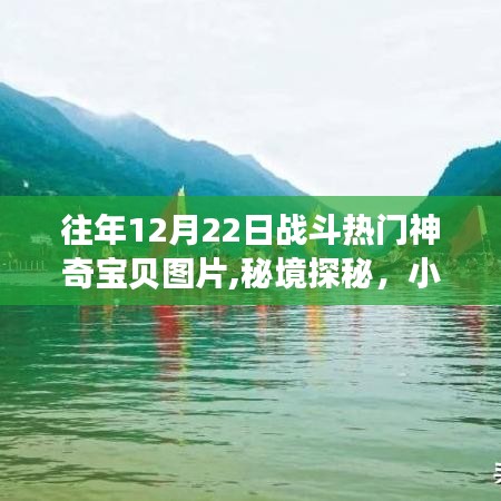 历年12月22日战斗热门神奇宝贝图像展，秘境狂欢与小巷深处的宝可梦盛宴