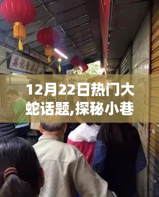 探秘蛇年奇缘，小巷深处的大蛇美食小店独特魅力揭秘