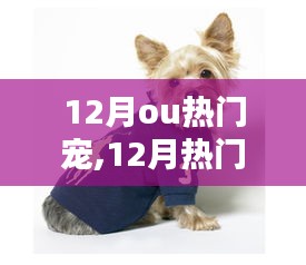 时尚之选
