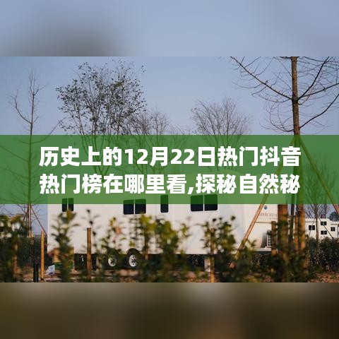 抖音带你领略历史上的暖心时刻，探秘自然秘境，领略宁静之旅的抖音热门榜与暖心时刻（12月22日）