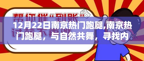 南京跑腿与自然共舞，寻找内心的宁静之乐