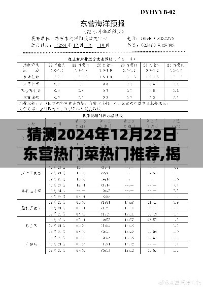 揭秘预测，2024年12月22日东营热门菜推荐榜单展望