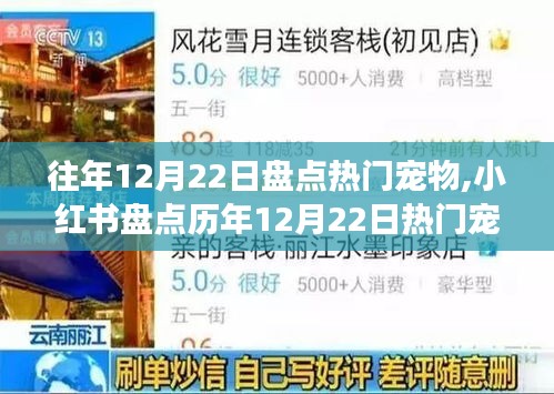 小红书历年12月22日热门宠物盘点，你的爱宠上榜了吗？