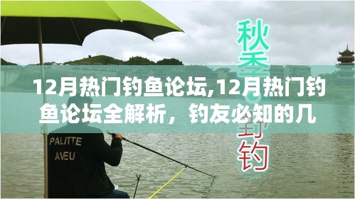 12月热门钓鱼论坛解析与推荐，钓友必知的几大论坛