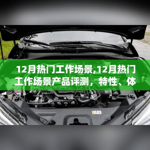 竞品对比与用户群体分析