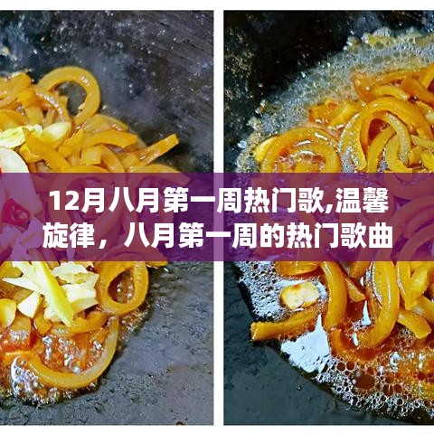 八月第一周热门歌曲，家的故事与温馨旋律