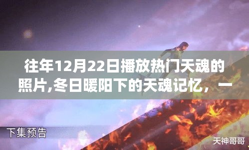 冬日暖阳下的天魂记忆，温馨日常的12月22日照片回顾