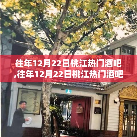 桃江热门酒吧的繁华夜生活回顾，历年12月22日的狂欢之夜