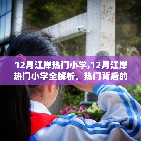 12月江岸热门小学的教育魅力全解析