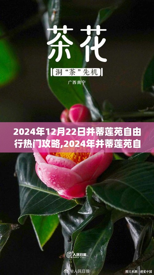 2024年并蒂莲苑自由行终极攻略，畅游莲花盛放之地的完美指南