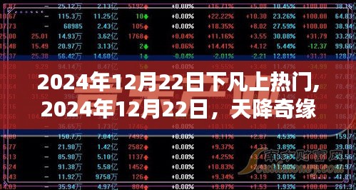 天降奇缘，热门之星于2024年12月22日降临