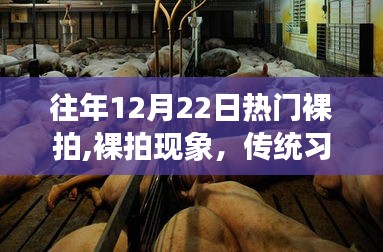 裸拍现象，传统习俗与现代争议的碰撞日