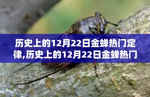 历史上的金蝉热门定律深度评测与介绍，揭秘十二月二十二日的奥秘