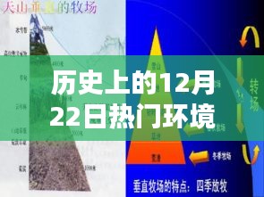 历史上的12月22日重大环境问题详解，类型、应对之道与学习之路