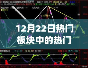 揭秘12月22日热门板块中的翘楚股票，热门股票重磅解读，不容错过！