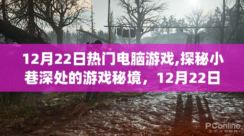 探秘小巷深处的游戏秘境，不容错过的电脑游戏推荐（12月22日）