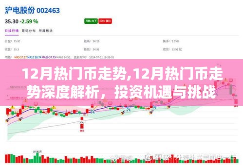 12月热门币走势深度解析，投资机遇与挑战并存
