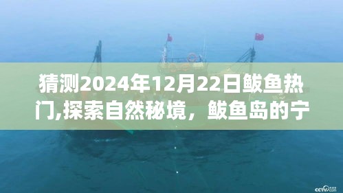 探索鲅鱼秘境，心灵之旅的宁静之旅，预测鲅鱼岛热门之旅（XXXX年XX月XX日）