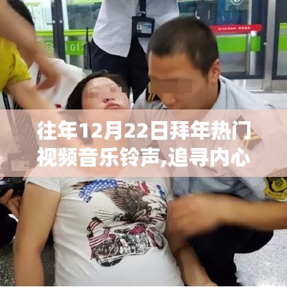 历年十二月二十二日拜年视频中的音乐与自然美景，追寻内心的宁静之旅