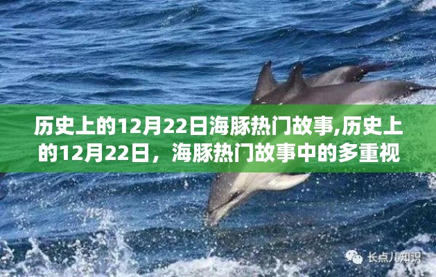 历史上的12月22日，海豚热门故事的多重视角与深层启示