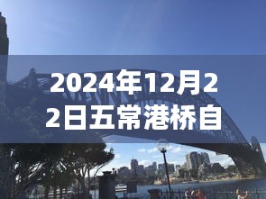 五常港桥穿越时光之旅，热门自由行攻略探寻历史印记