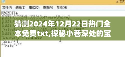 探秘宝藏小巷，免费全本TXT小说秘密乐园2024年12月22日热门预测