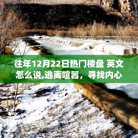 历年冬至日热门楼盘，逃离喧嚣的奇妙之旅，寻找内心宁静之所