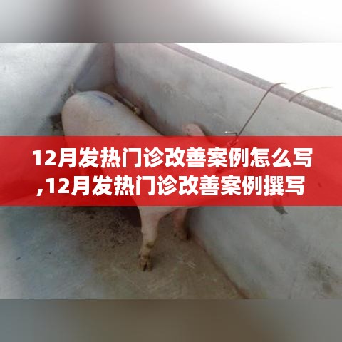 12月发热门诊改善案例撰写指南，从实践到文字的完美转化
