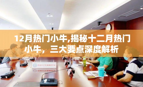 揭秘十二月热门小牛，深度解析三大要点助你洞悉市场趋势