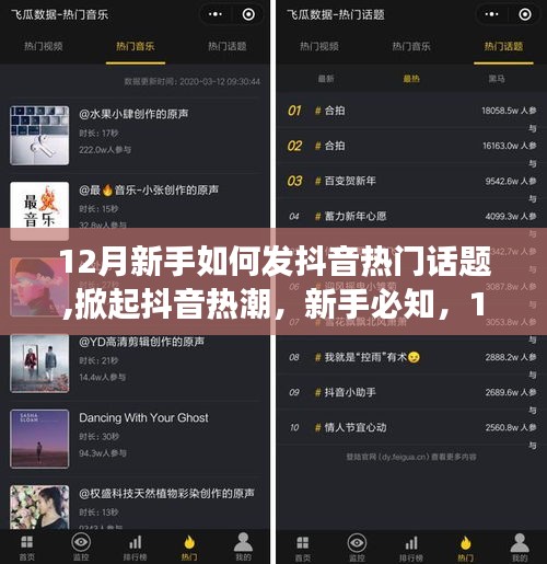 新手玩转抖音指南，揭秘12月热门话题与功能，轻松掀起抖音热潮！