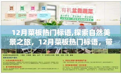 12月菜板热门标语，开启自然美景之旅，寻找内心平静的旅程